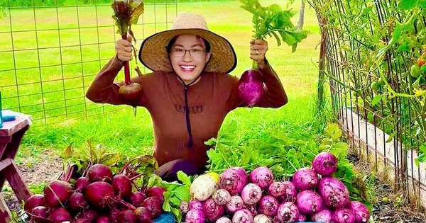 Khu vườn rau trái đầy màu sắc của cô gái Việt trên đất Mỹ