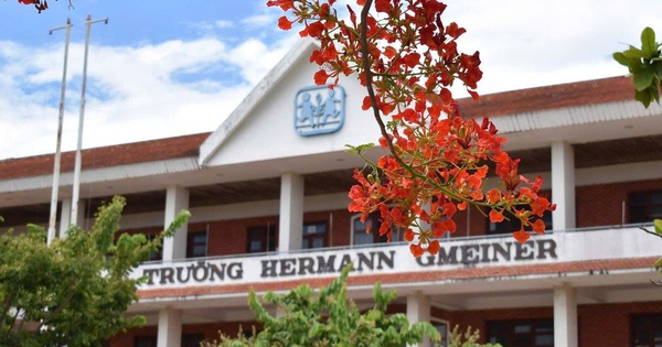 Đà Nẵng: Giáo viên trường THPT bất ngờ với hợp đồng 9 tháng sau sáp nhập