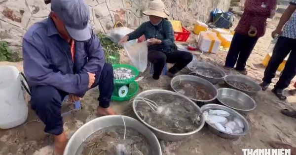 Xử phạt nghiêm tình trạng buôn bán tại chợ hải sản tự phát dưới bãi biển