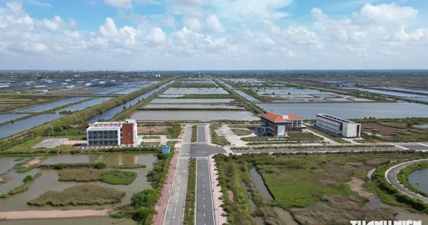 Thanh tra toàn diện Khu phát triển tôm công nghệ cao ở Cà Mau