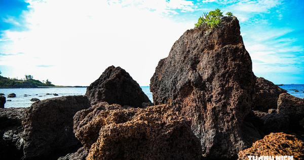 Ngắm tuyệt tác từ nham thạch triệu năm bên gành Đá Đỏ