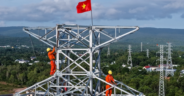 Điện lực miền Nam: Vượt khó ‘về đích’ 3 công trình trọng điểm phục vụ APEC 2027