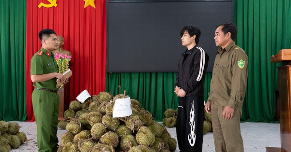 Bắt giữ nghi phạm từ Hải Phòng vào Đắk Lắk trộm 1,6 tấn sầu riêng