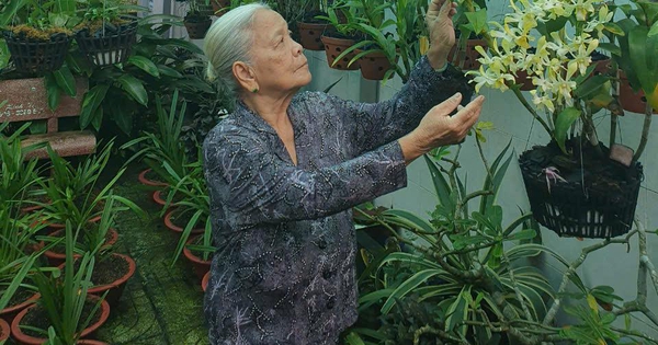 Cách cụ bà U.90 kiếm tiền làm từ thiện