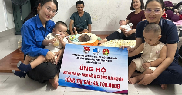 Chị Vân ‘bảo vệ sự sống’ ở xứ trà