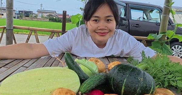 Cô gái Việt trồng vườn rau xanh tốt ở Nhật, ăn không hết còn mang tặng