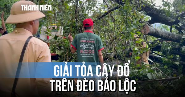Khẩn trương giải tỏa cây đổ trên đèo Bảo Lộc và sạt lở trên đèo Con Ó