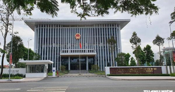 Cà Mau chấp thuận nhà đầu tư dự án điện gió hơn 2.060 tỉ đồng
