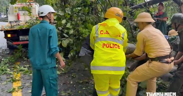 Khẩn trương giải tỏa cây đổ trên đèo Bảo Lộc và sạt lở trên đèo Con Ó