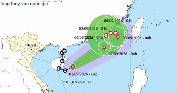Bão Saudel chính thức 'hồi sinh' thành bão số 5 trên Biển Đông