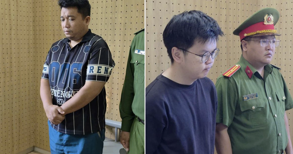 Mang 'chui' hơn 180.000 con tôm hùm giống qua sân bay Cam Ranh, 2 người bị khởi tố