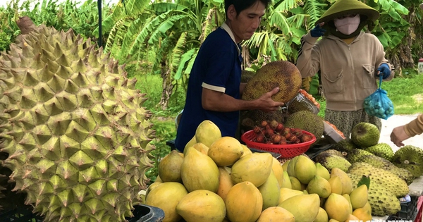 Buôn bán kiểu miền Tây: Hàng chẳng cần trông, một chục có khi tới 16