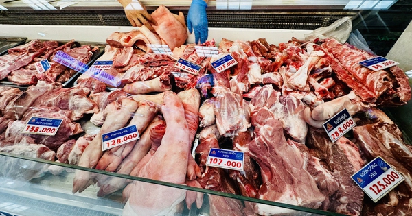Giá heo hơi hôm nay 10.9.2026: Thị trường lặng sóng
