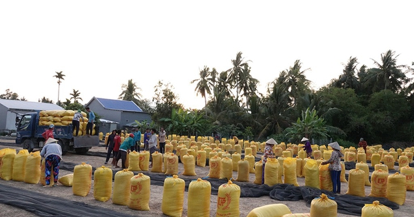 Tin tức đặc biệt trên báo in Thanh Niên 11.9.2026