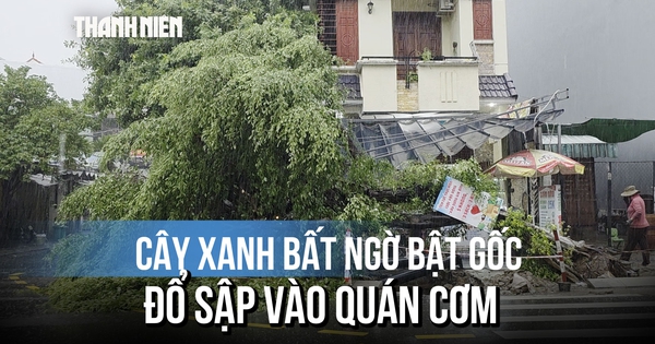 Khoảnh khắc cây xanh bật gốc đè sập quán cơm: Người đàn ông đi xe máy thoát nạn khó tin