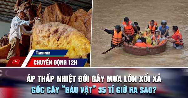 Chuyển động 12h: Áp thấp nhiệt đới gây mưa lớn xối xả | Gốc cây 'báu vật' 35 tỉ đồng giờ ra sao?