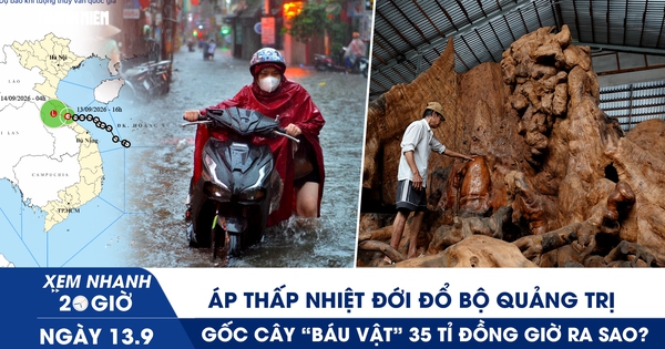 Xem nhanh 20h ngày 13.9: Áp thấp nhiệt đới đổ bộ Quảng Trị | Gốc cây ‘báu vật’ 35 tỉ đồng giờ ra sao?