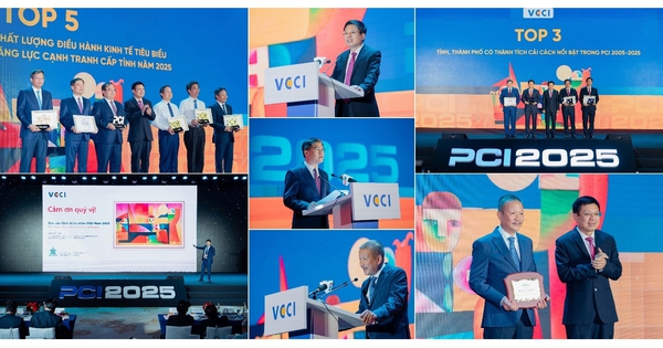 Doanh nghiệp Việt lớn lên thế nào trong một môi trường thể chế đang đổi mới?