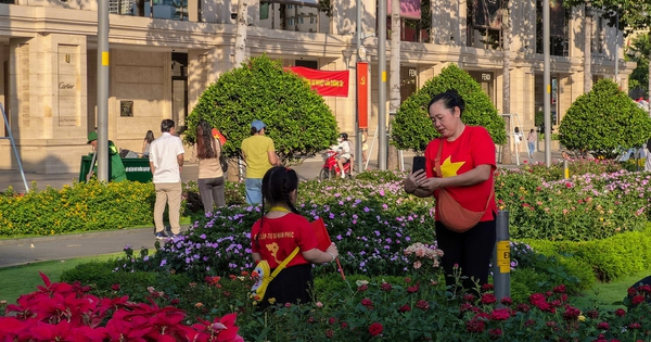 Từ pháo hoa đến concert, không khí lễ hội sống động qua ống kính Galaxy S26 FE
