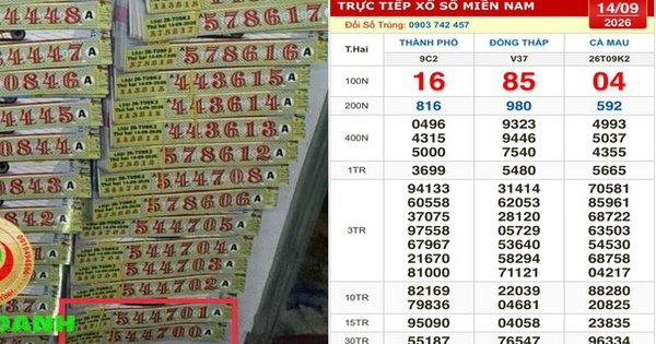 Xổ số miền Nam ngày 14 tháng 9: Tìm khách trúng độc đắc đài Cà Mau