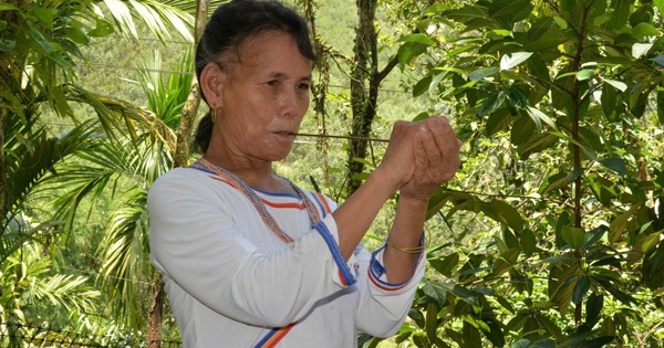 Kèn a máp, tiếng lòng phụ nữ Cor