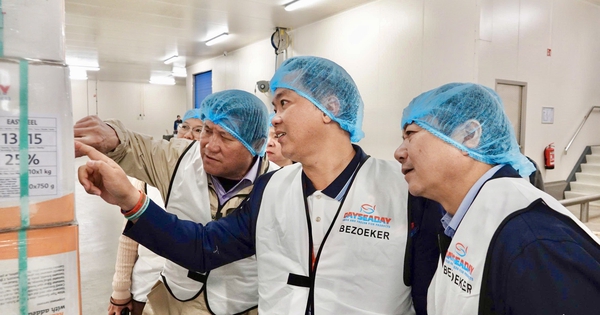 Gặp con tôm Cà Mau ở thủ phủ cá châu Âu