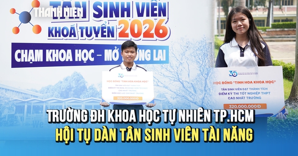 Thủ khoa ĐGNL 1.139 điểm, á khoa A00 29,75 điểm: Giữ nhịp học,