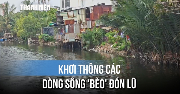 Khánh Hòa: Huy động máy đào và sà lan khơi thông các dòng sông 'bèo' đón lũ