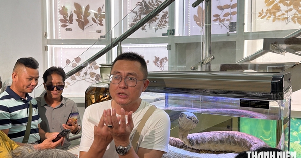 Hướng dẫn viên Trung Quốc 'chiếm sóng' trong Bảo tàng Quảng Ninh