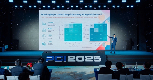 Từ dữ liệu PCI 2.0 nhìn vào nội lực của doanh nghiệp Việt