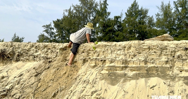 Sạt lở bờ biển Quảng Ngãi, sóng ngoạm sâu 2 m, đe dọa hàng trăm hộ dân