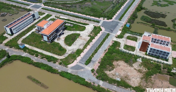 7 nhà đầu tư đề xuất dự án tại Khu phát triển tôm công nghệ cao