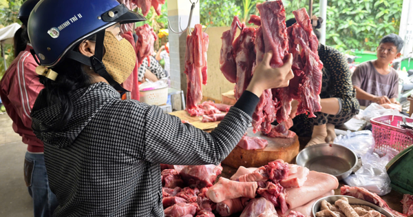 Giá heo hơi hôm nay 17.9.2026: Đứt mạch tăng