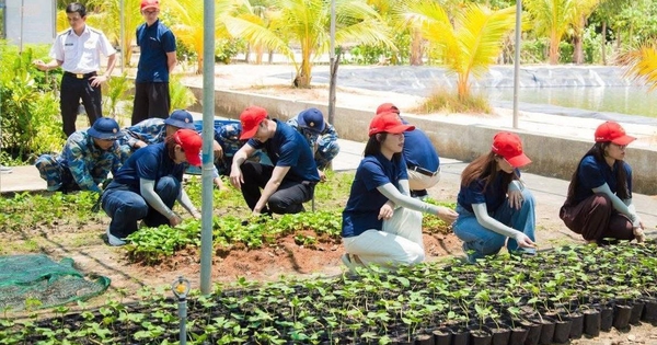 Đất liền gửi triệu mầm xanh ra Trường Sa