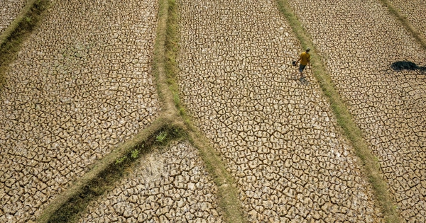 Châu Á chuẩn bị thế nào trước đợt El Nino chưa từng có?