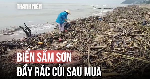 Rác thải, thân cây 'bịt kín' đường ra khơi biển Sầm Sơn