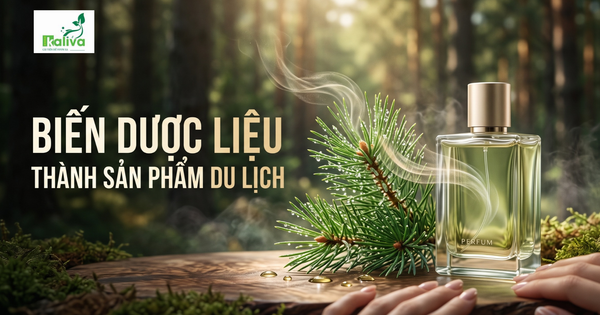 Cùng sống xanh 166: Khi dược liệu biến thành sản phẩm du lịch