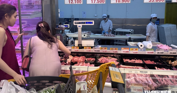 Giá heo hơi hôm nay 18.9.2026: Chạm lại mốc 60.000 đồng/kg