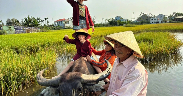 Vì sao các phụ huynh Úc từ bỏ công việc để đưa con đến Việt Nam học?