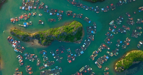Lý do đặc biệt khiến du khách Anh chọn du lịch Việt Nam