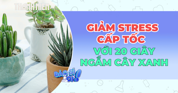 Giảm stress cấp tốc với 20 giây ngắm cây xanh