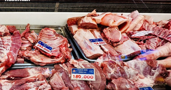 Giá heo hơi hôm nay 3.9.2026: Giảm nhẹ vài nơi