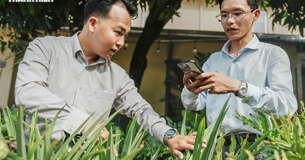 Cấp 'giấy khai sinh' cho cây cảnh