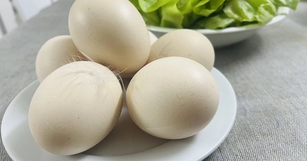 Người cholesterol máu cao và tăng huyết áp ăn được trứng không?