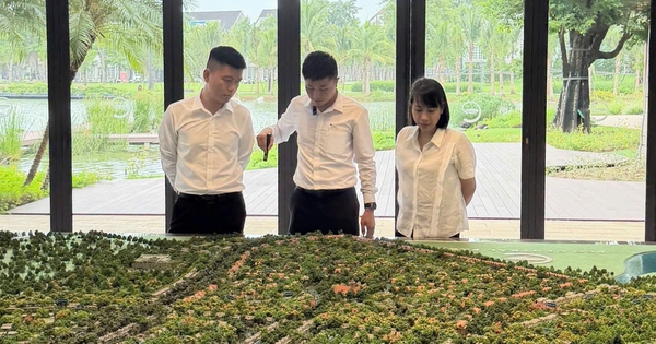 Môi giới bất động sản: Khi chứng chỉ trở thành điều kiện hành nghề