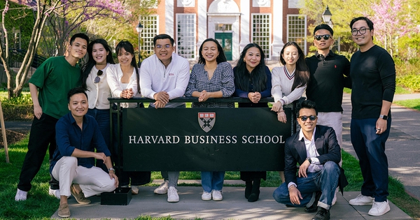 Tốt nghiệp Harvard, đi qua 40 nước, vẫn tin cơ hội lớn nhất ở Việt Nam