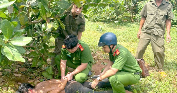 Đâm cha dượng trọng thương chỉ vì bị la mắng