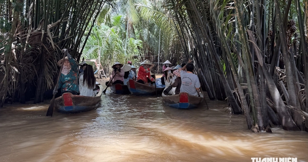 Cù lao Thới Sơn 'đánh thức' du lịch cộng đồng