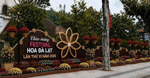 Festival Hoa 2026: Phường Xuân Hương - Đà Lạt vận động nhà nhà trồng hoa