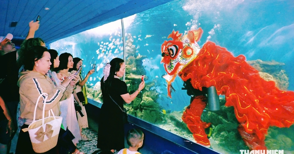 Múa lân dưới nước giữa đàn cá, đội lân tập luyện ra sao?
